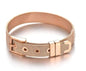 Stainless Steel Slider Bracelet - Rose Gold - Azure jeweleryStainless Steel Slider Bracelet - Rose GoldMy StoreAzure jeweleryB8014.3Stainless Steel Slider Bracelet - Rose Gold